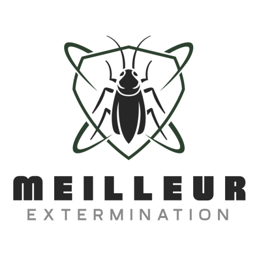 cropped-meilleur-extermination.png